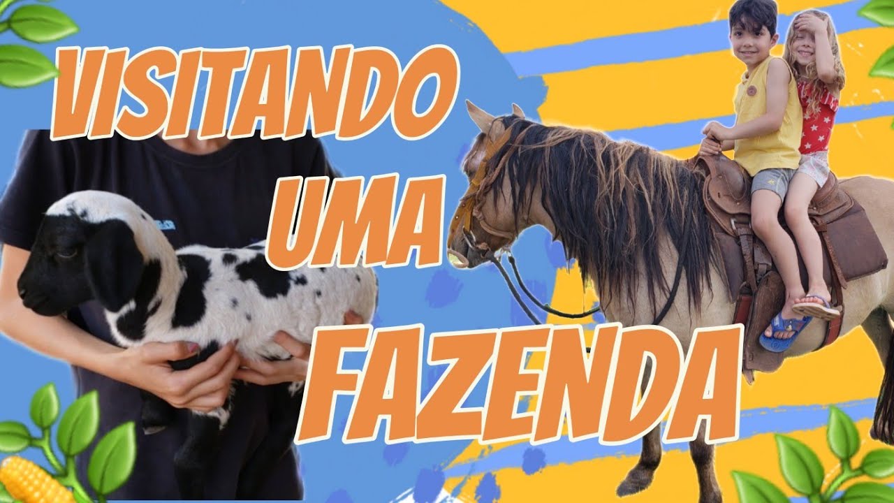 Vamos conhecer uma fazenda!!!