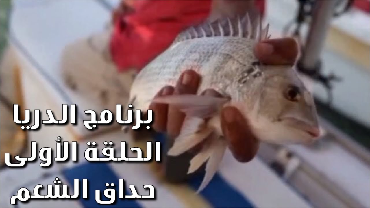 برنامج الدريا #الحلقة_الأولى #حداق #شعم #الحيشان 3/10/2015