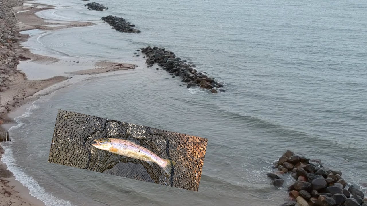 Hav&oslash;rredfiskeri ved B&oslash;lgebrydere