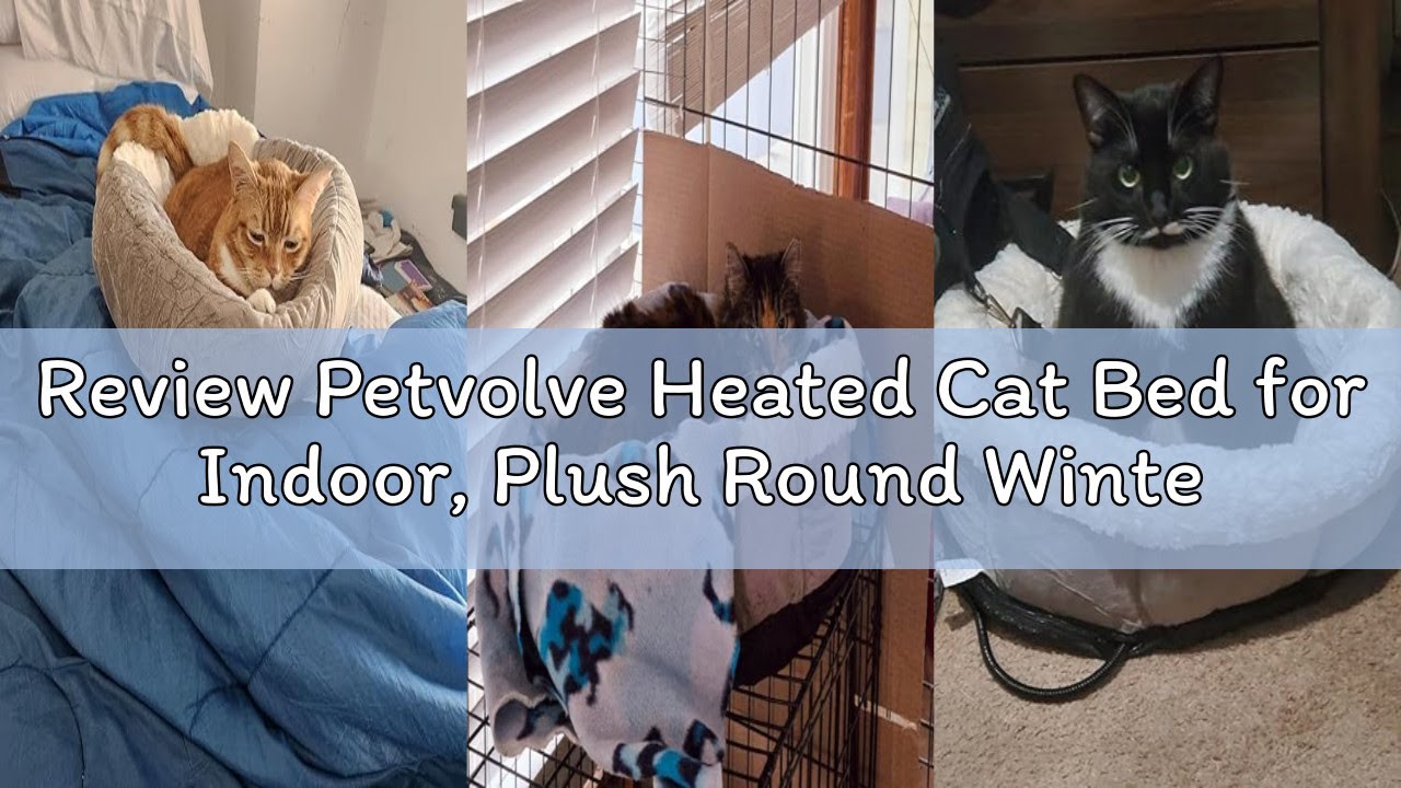 Review Petvolve Heated Cat Bed for Indoor, Plush Round Winter Warm Pets Heating Bed with Insertable