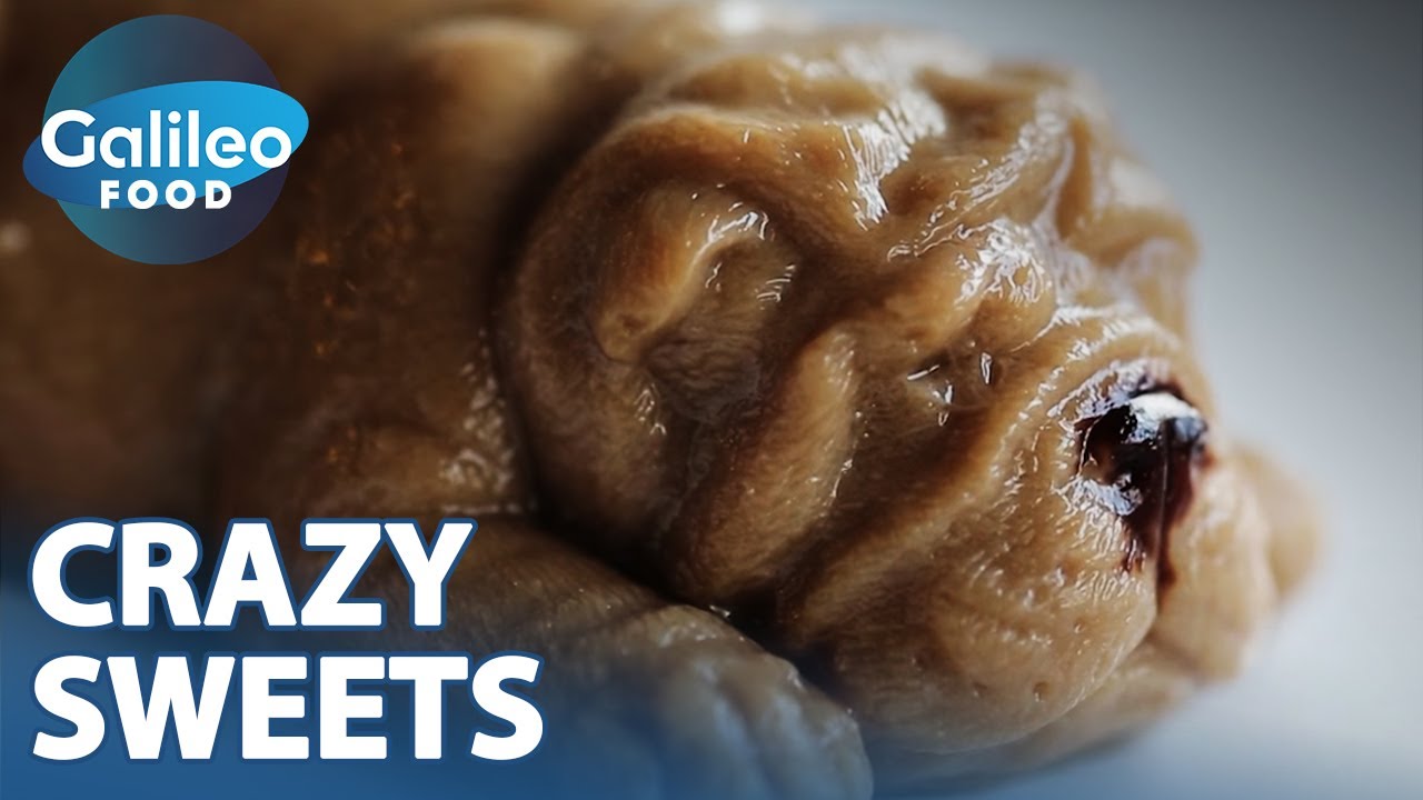 Hunde-Pudding & Co.: 