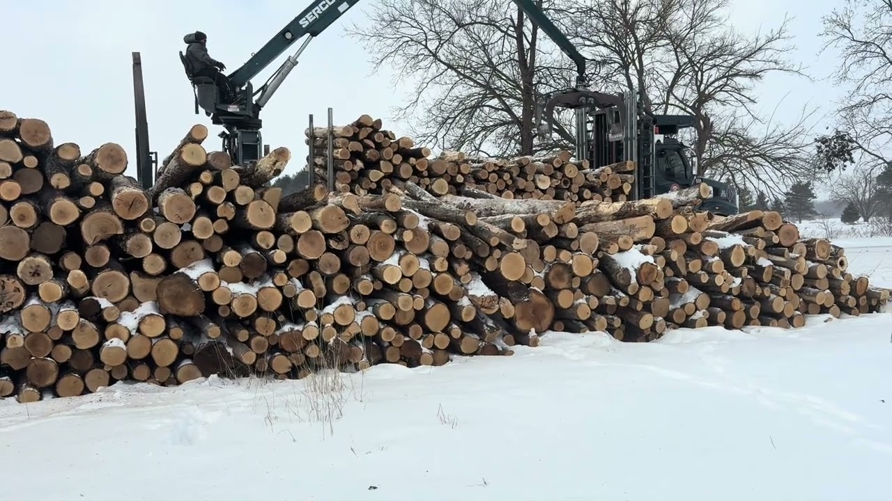 Another beautiful day in the woodyard. What does 60 pulp cords of firewood look like.