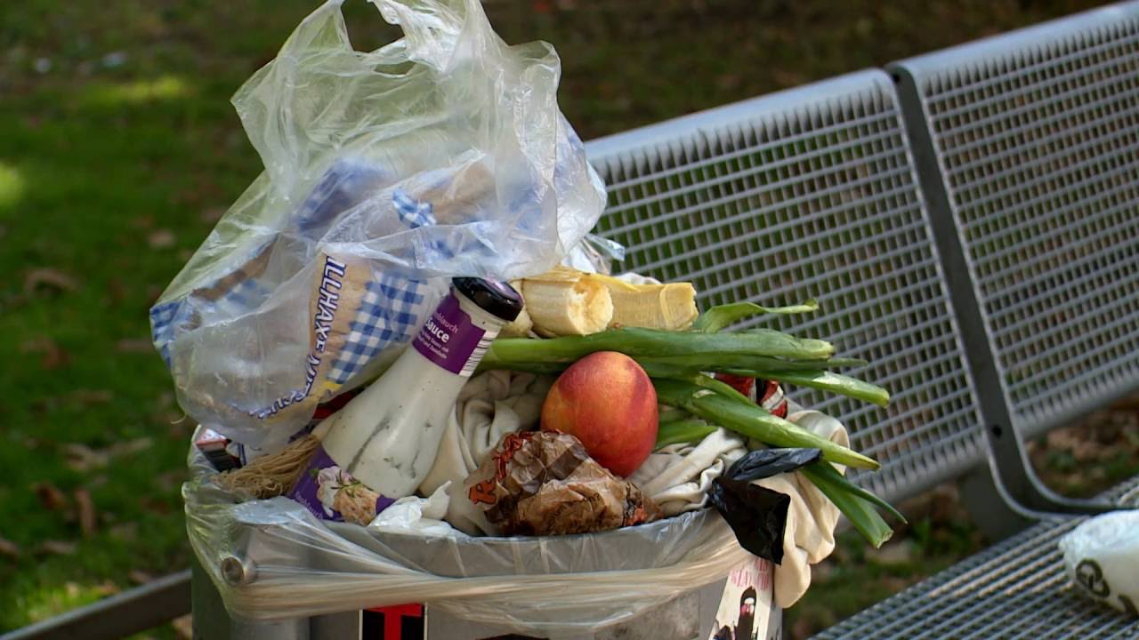 Aussortiertes aufgetischt: Wie Foodsaver Lebensmittel retten