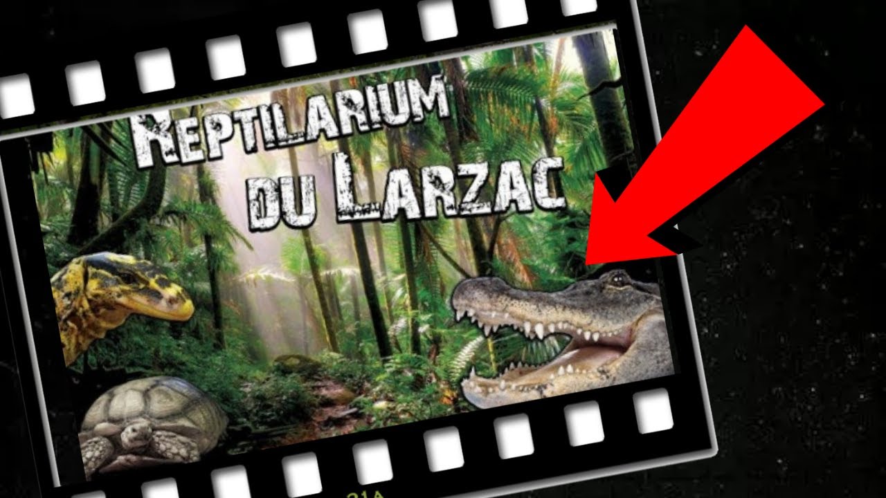 Visite reptilarium du Larzac, Varan, Anaconda, Alligator...(Animaux Exotiques)-Venom.X