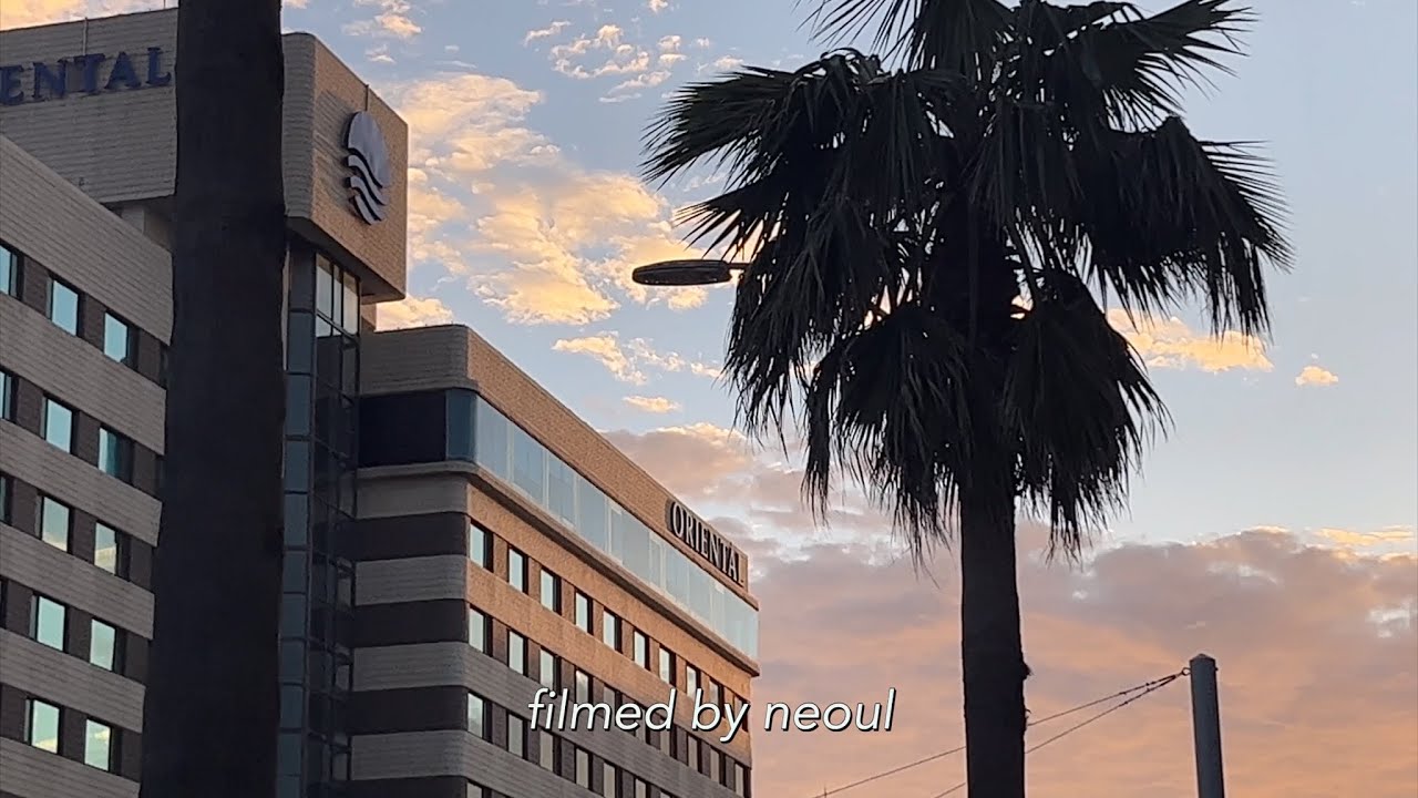 드디어 여름에 외출이라는 걸 하는 제주 일상 브이로그 | JEJU VLOG