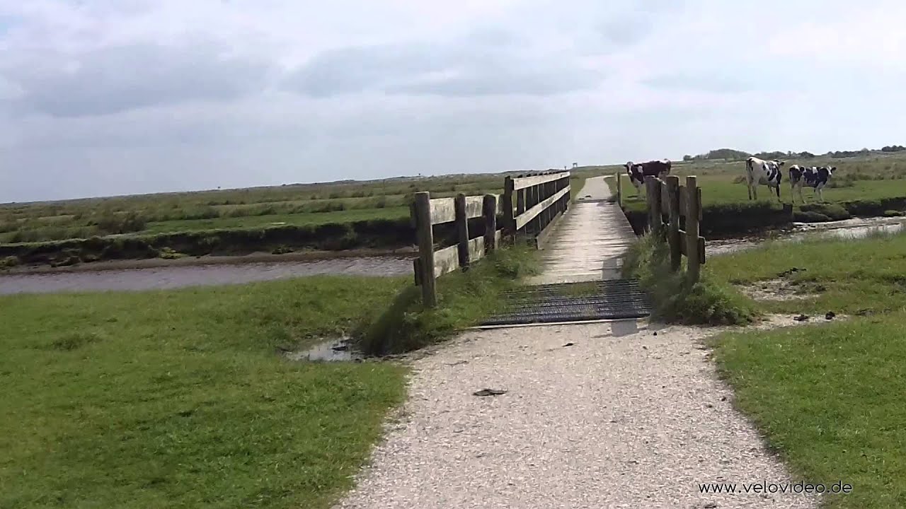 Mit dem Rad rund um Schiermonnikoog