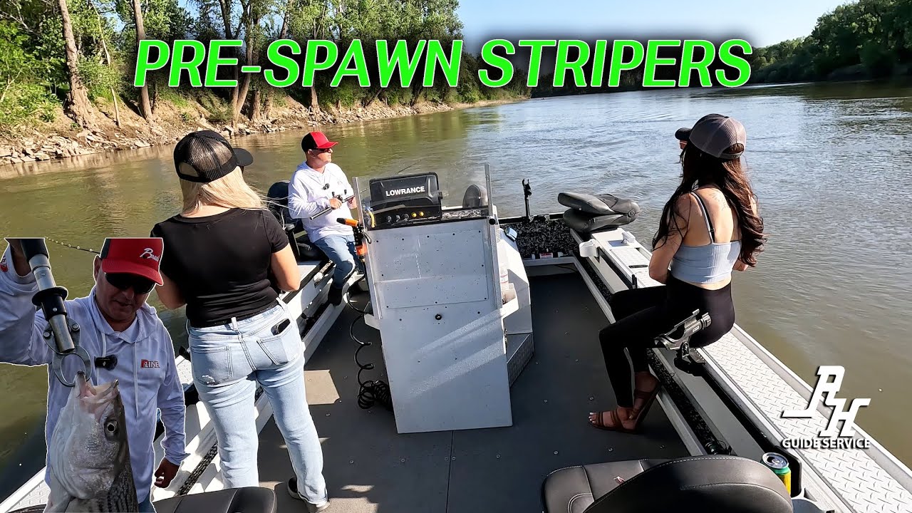Sacramento River Pre-Spawn Striped Bass Fishing