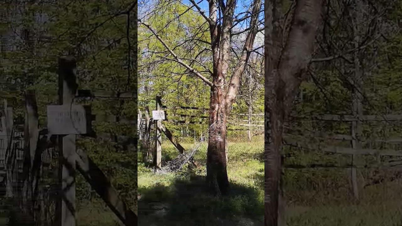 Planinski Vrh Kumovac Cer