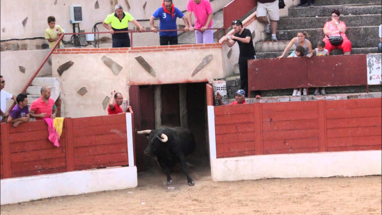 Guarrate 2014 ENCIERRO CALLES