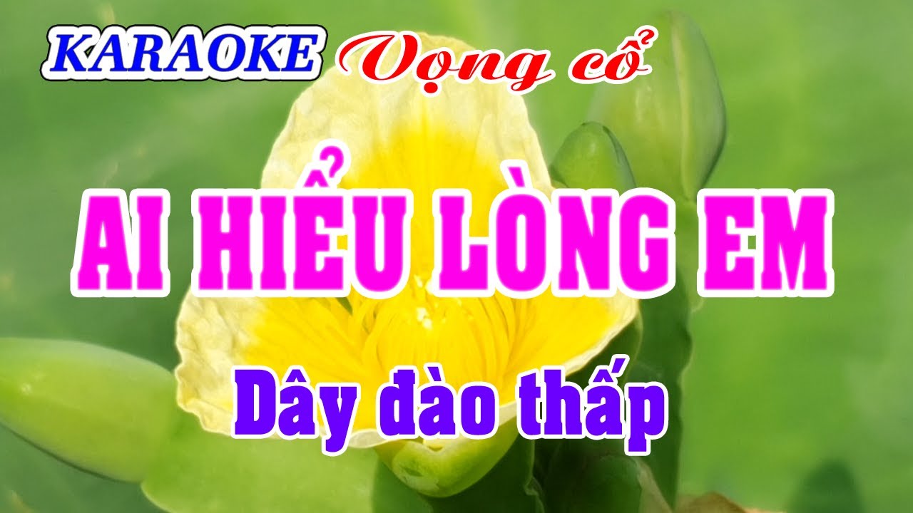 Karaoke _  Ai Hiểu Lòng Em _  Dây Đào Thấp