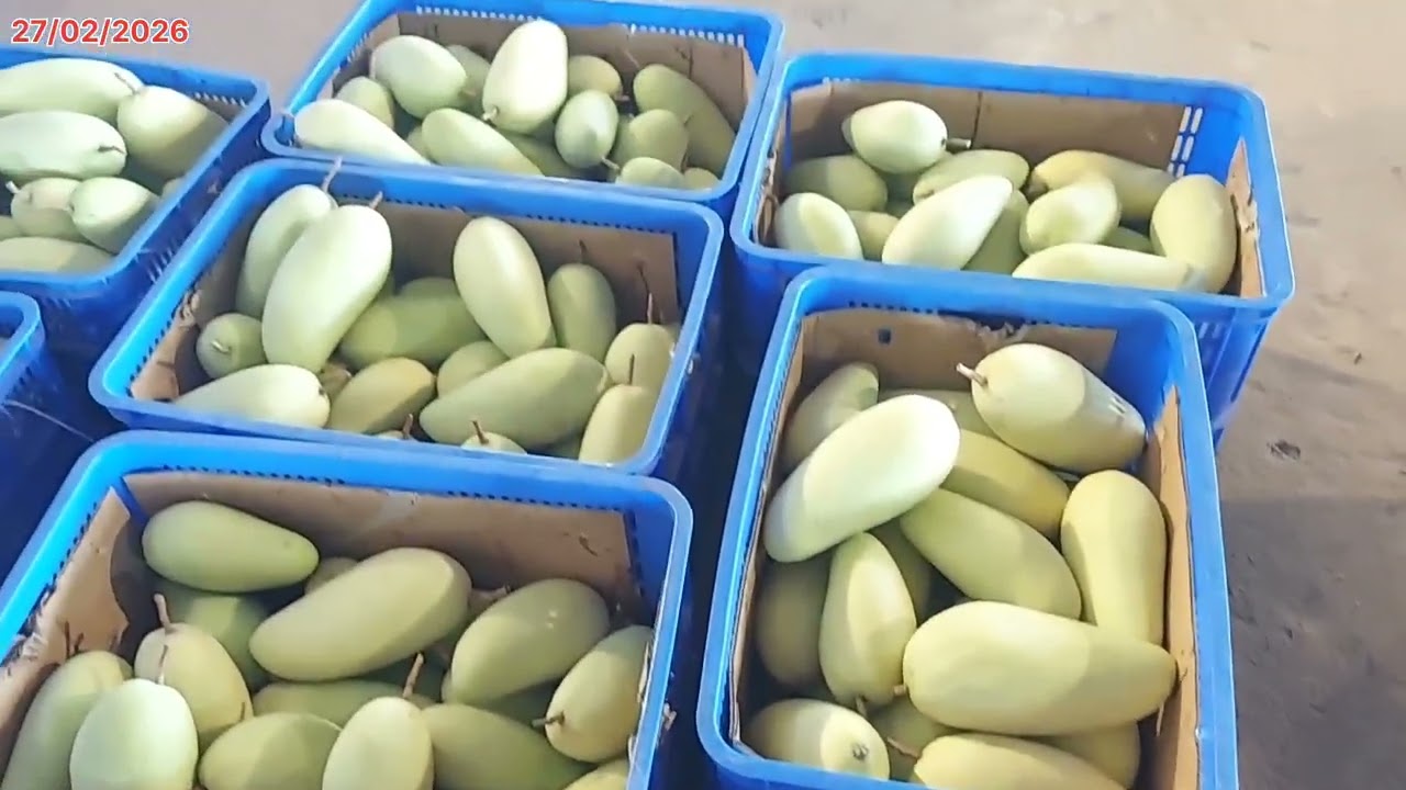 Thu hoạch 02/2026 
