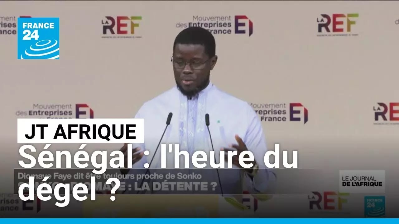 Brouille entre Diomaye Faye et Sonko au S&eacute;n&eacute;gal : l'heure du d&eacute;gel ? &bull; FRANCE 24