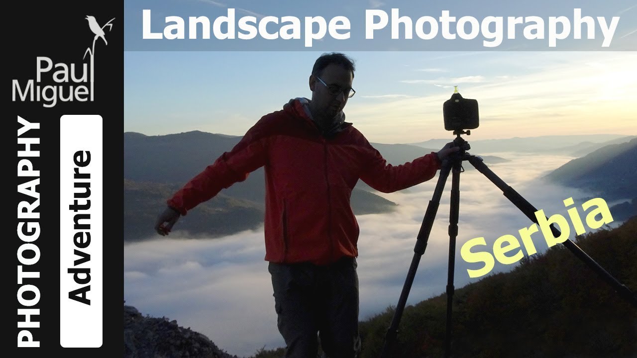 Visiting SERBIA: My Adventure in Tara National Park