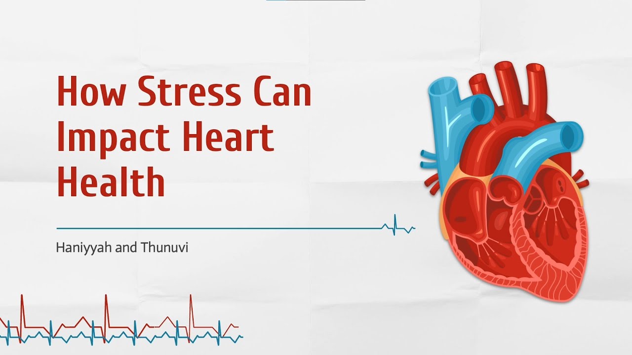 How Stress Can Impact Heart Health | Dr. Curnew MD