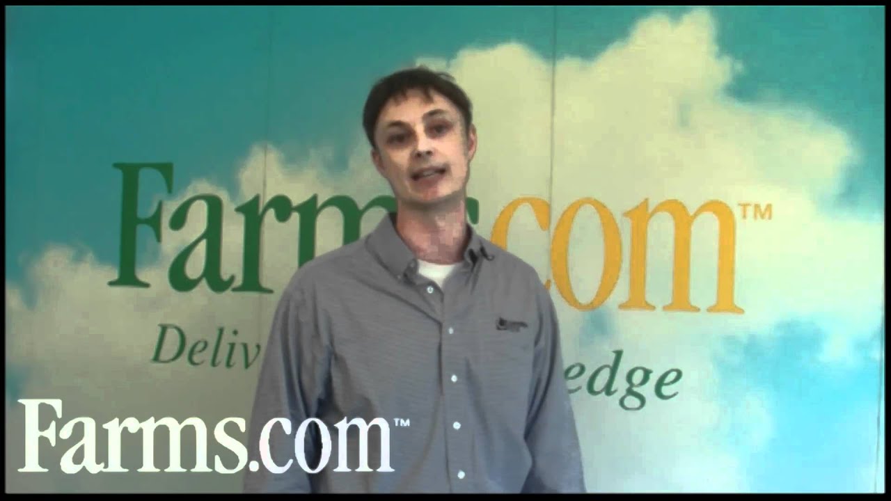 Crop Conditions In Western Canada, Challenges in Agriculture.