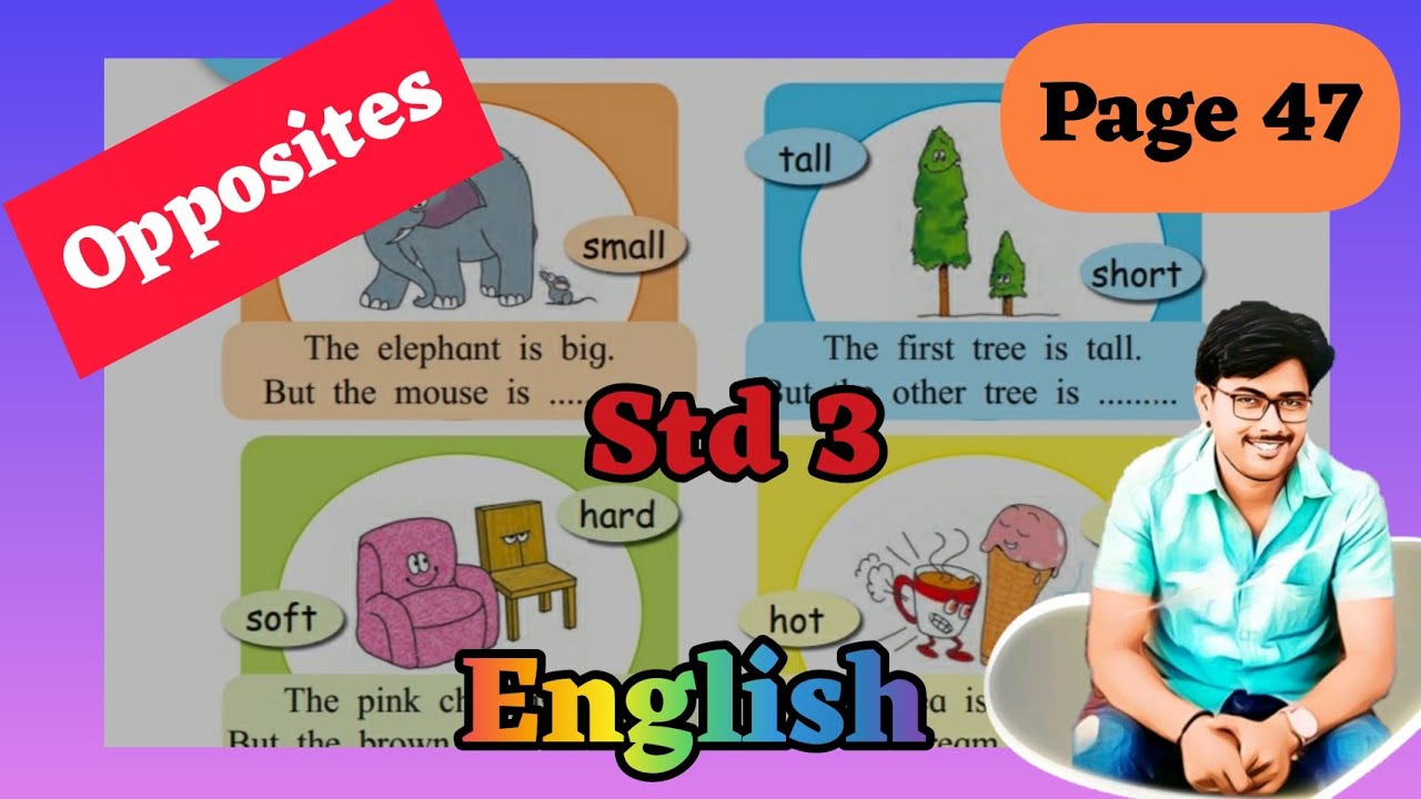 opposites/std 3/page 47/english