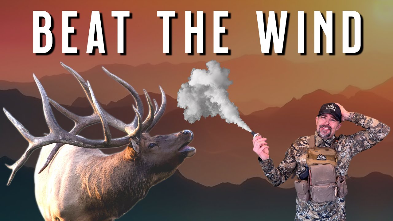 The Elk Hunting Strategy That Beats Swirling Wind