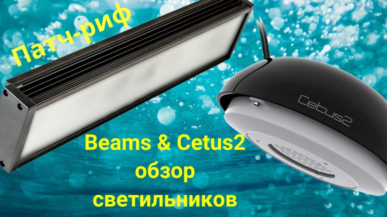 Патч-риф. BEAMS PRO R-4 против CETUS 2