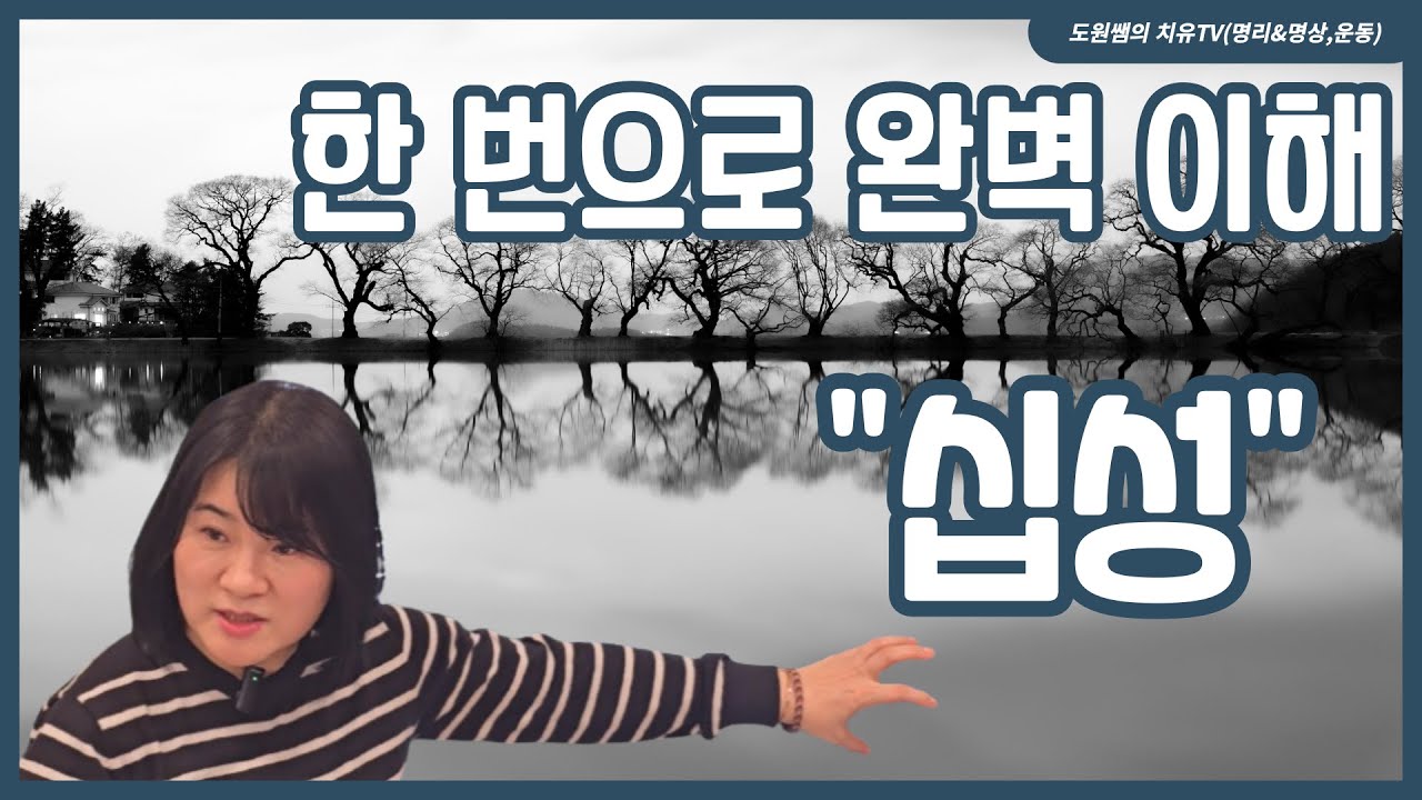 십성 | 한 번으로 완벽 이해