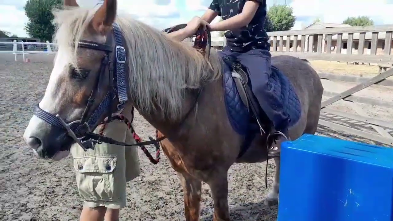 Welcome to the Lee Valley horse riding centre Summer Season 2022