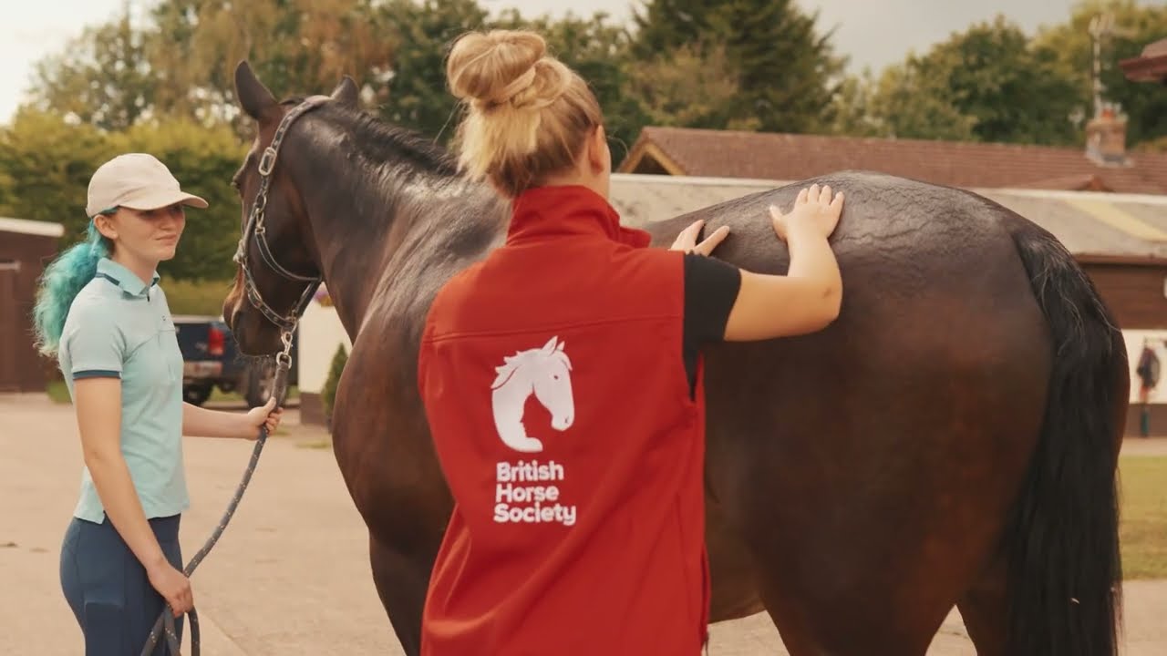 We are British Horse Society.