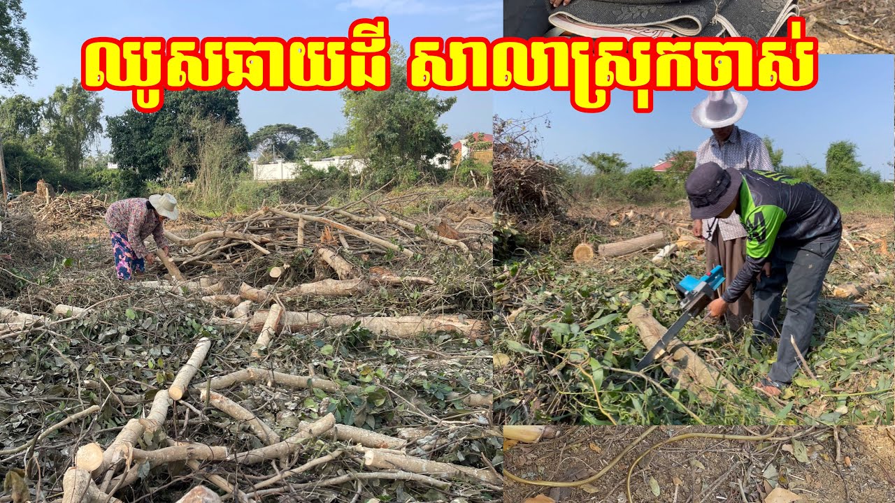 ឈូសឆាយដី អតីតសាលាស្រុកចាស់ អ្នកភូមិនាំគ្នាប្រមូលអុសដុត