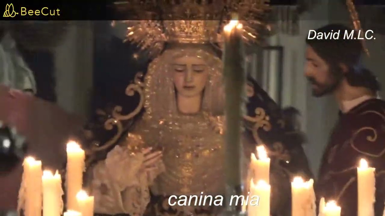hermandad de los javieres. Video David M.LC. C/Cuna.C/Amor de Dios.       C/Correduria. C/Feria.2025