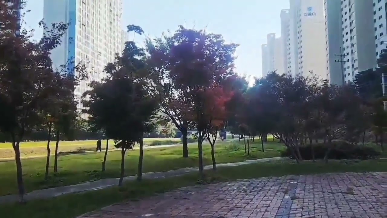 못난 내 청춘-노래/ 박수경 원곡/현철 배경/영상 대구 진천천 촬영/허이순 2025년12월1일 편집/신박사의 식물도감 박수경/홍보대사/허이순 2026년2월23일