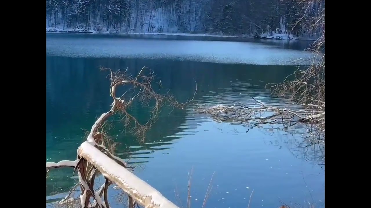 Alpsee. Прогулка с Виттельсбахами.