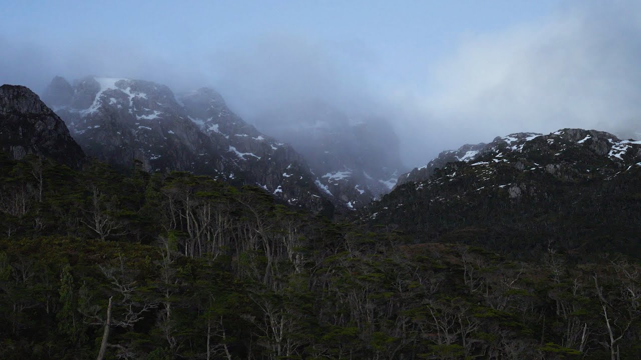 2022: our milestones rewilding Chilean Patagonia