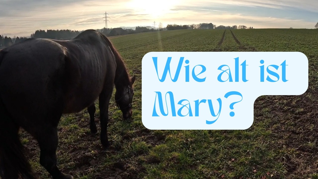 Wie alt ist Mary? | Die Auflösung!