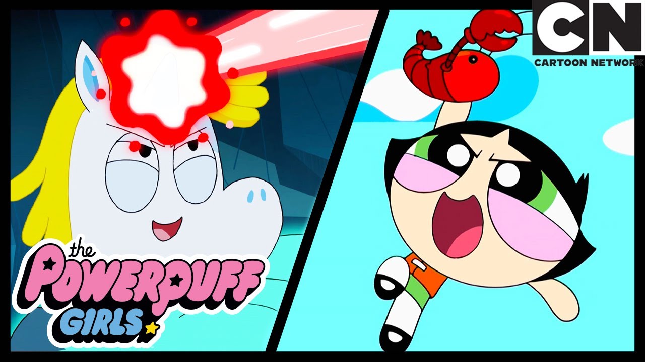 It's Animal Week!  | Powerpuff Girls | Cartoon Network