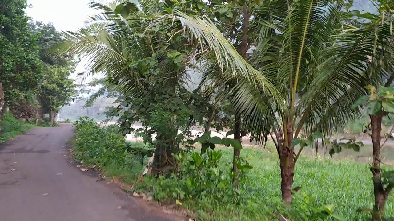 Redmi Note 8 EIS Video Test