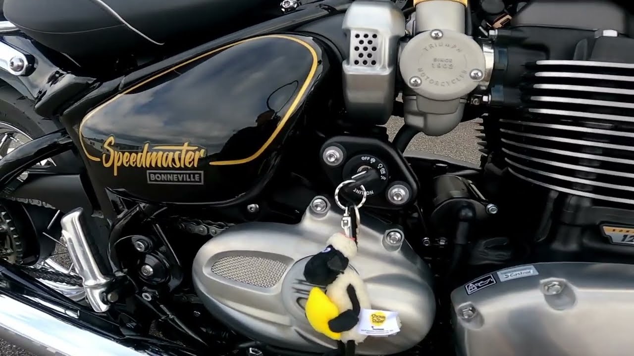 TRIUMPH BONNEVILLE SPEEDMASTER 2022 GOLD LINE