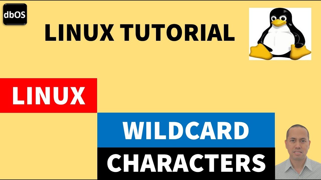 Linux wildcard characters | Wildcard characters in Linux