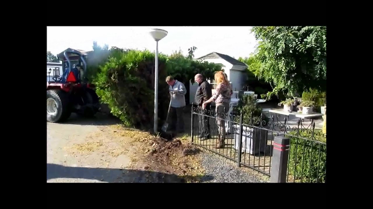 2012 10 11 Camping De Meeuw Coniferen verwijderen