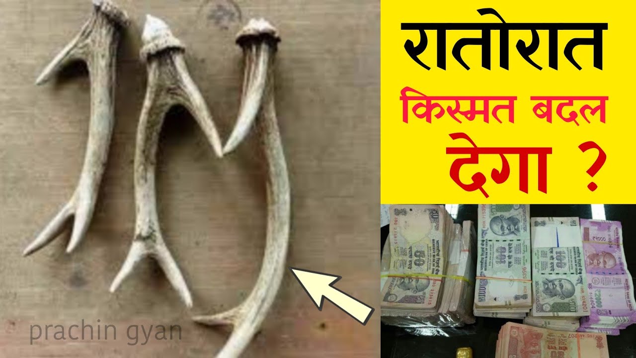 मिल जाय तो छोड़ना मत लाख करोड़ नही अरबों के मालिक बन जाओगे ? चमत्कार जानकर चौक जाओगे