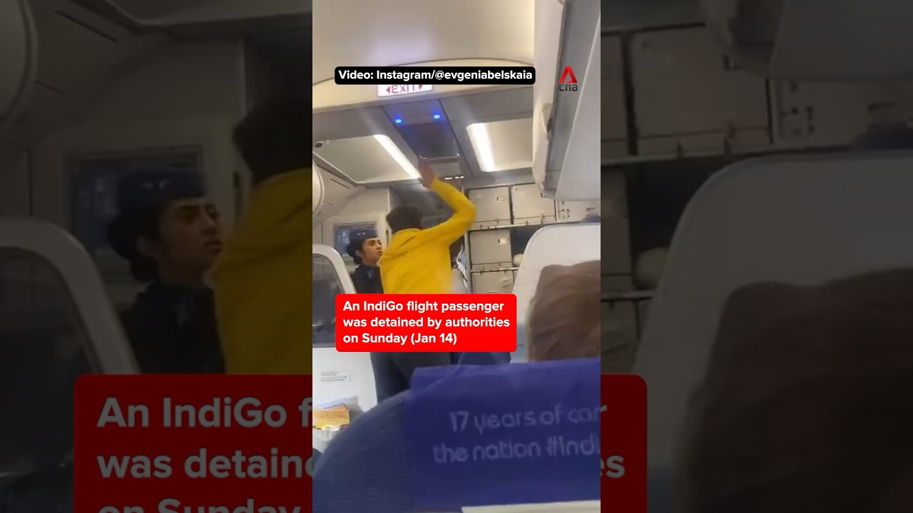 IndiGo passenger detained for attacking pilot over flight delay