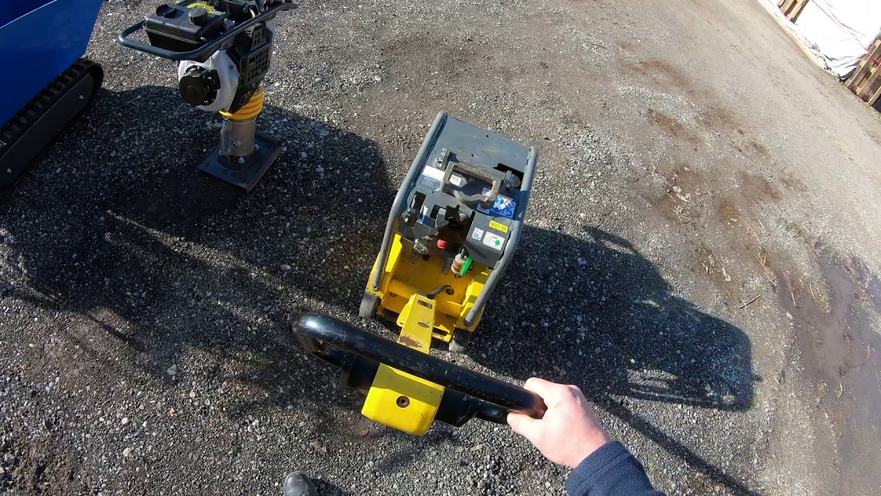 Rüttelplatte Wacker Neuson DPU 30/50 H bei www.bagger-express.ch