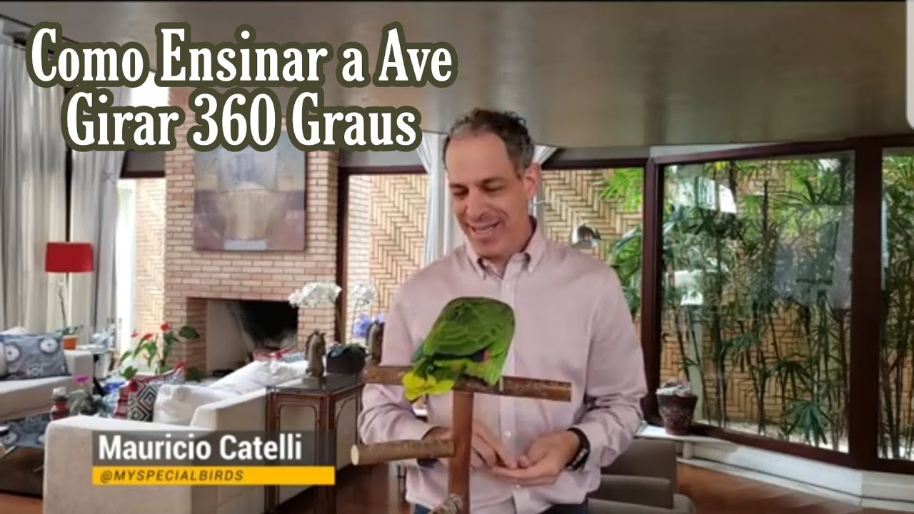 Adestramento de Aves - O Giro de 360 Graus