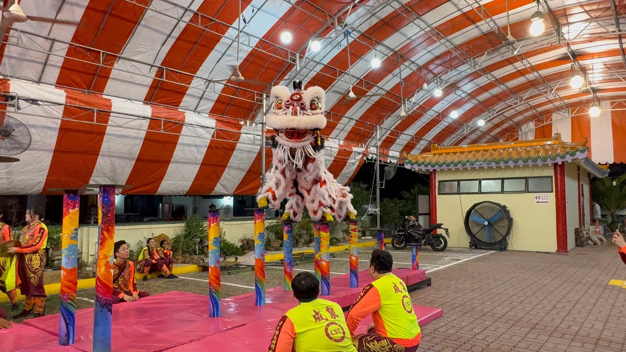 新加坡勁安龍獅體育協會 Jin Ann Lion Dance High Poles Performance at Guilin Combined Temple 19 January 2026