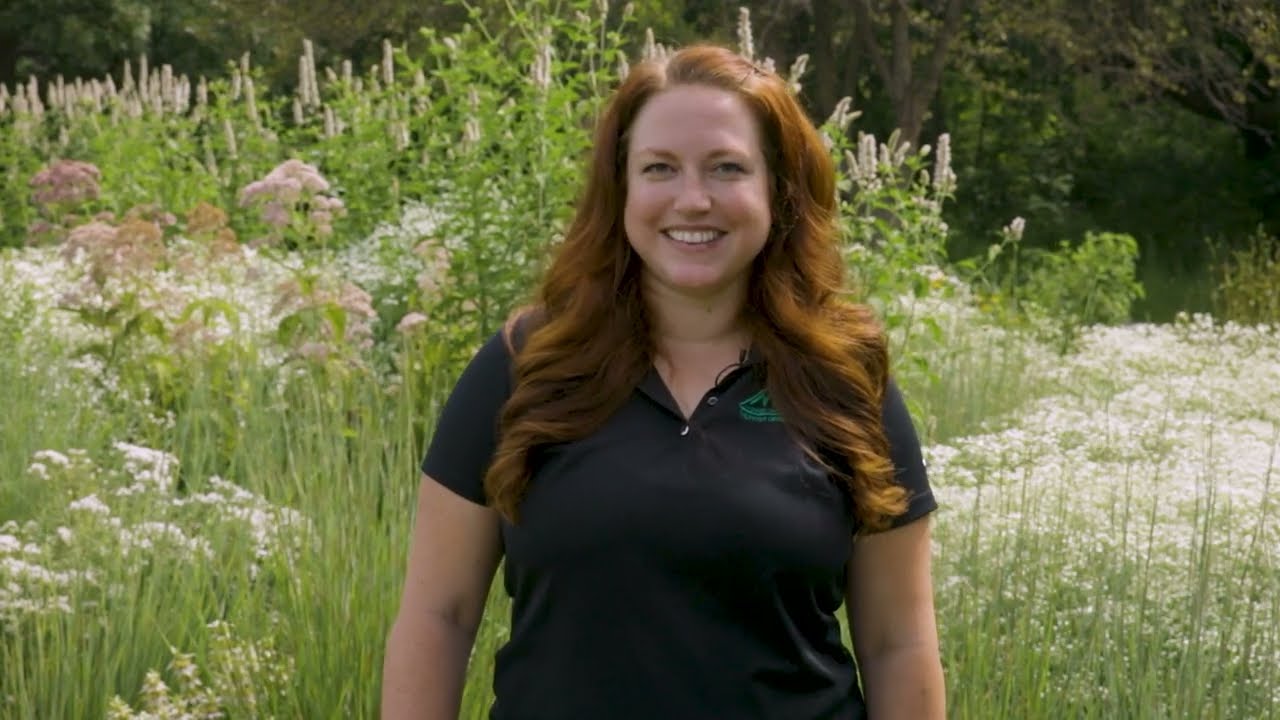 Multi-Season Interest in the Native Garden
