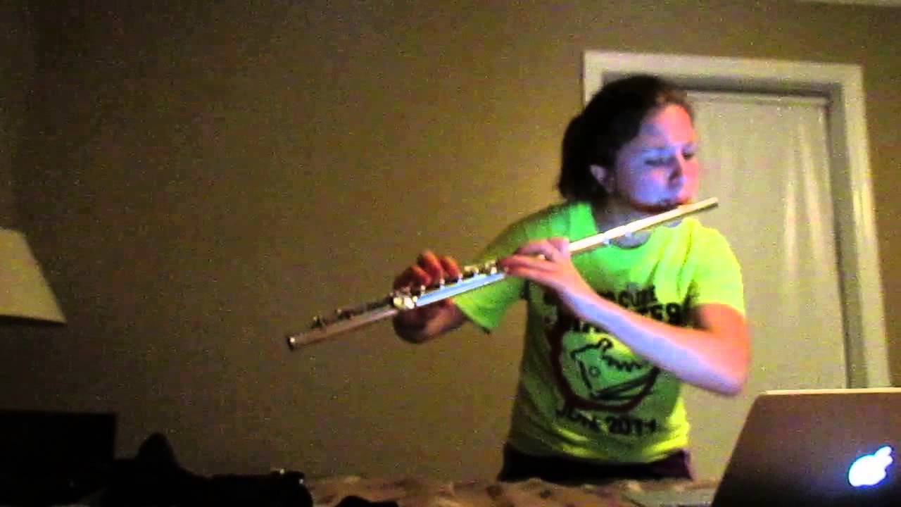 When You Say Nothing at All Flute Cover