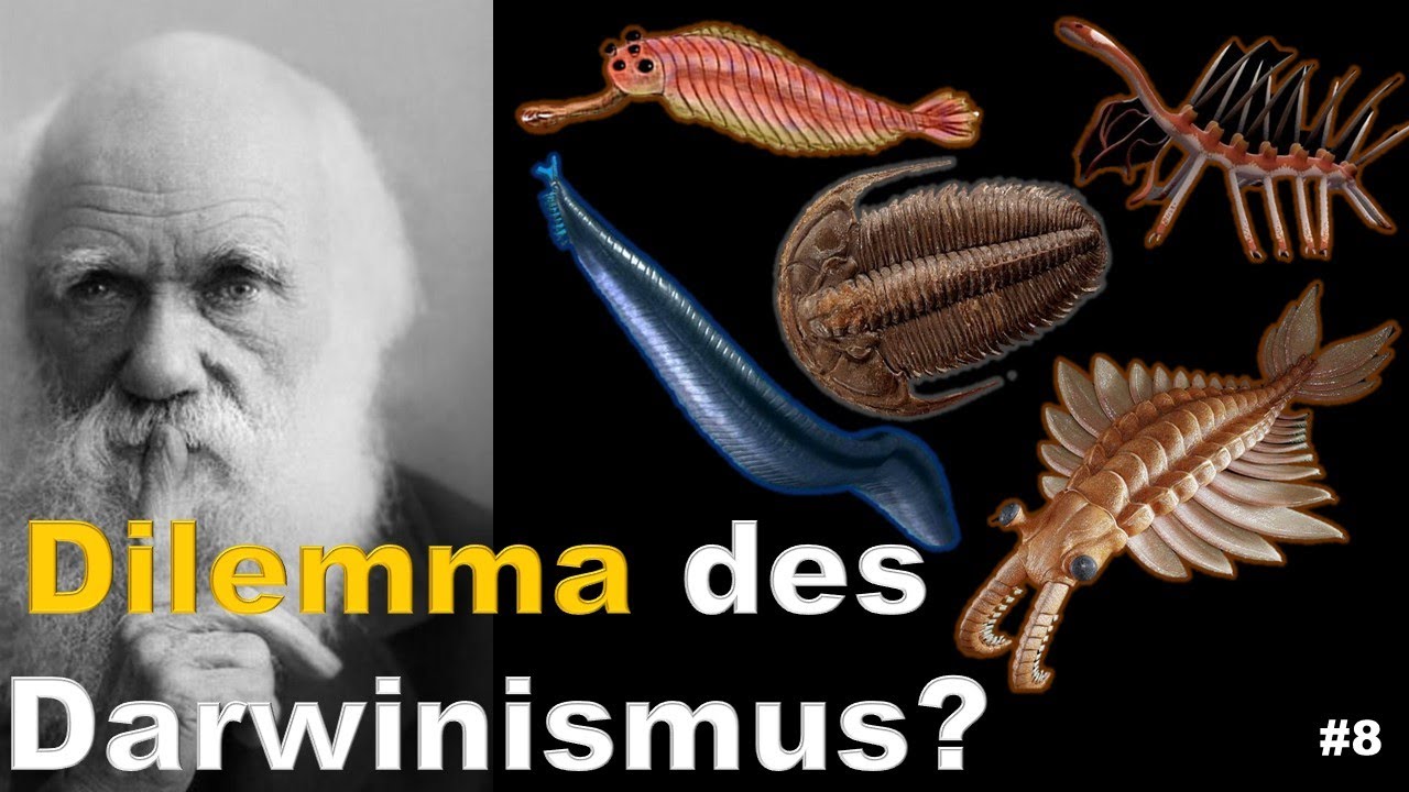 Kann Evolution die „kambrische Explosion“ erklären? (von LUCA bis Eva #8)