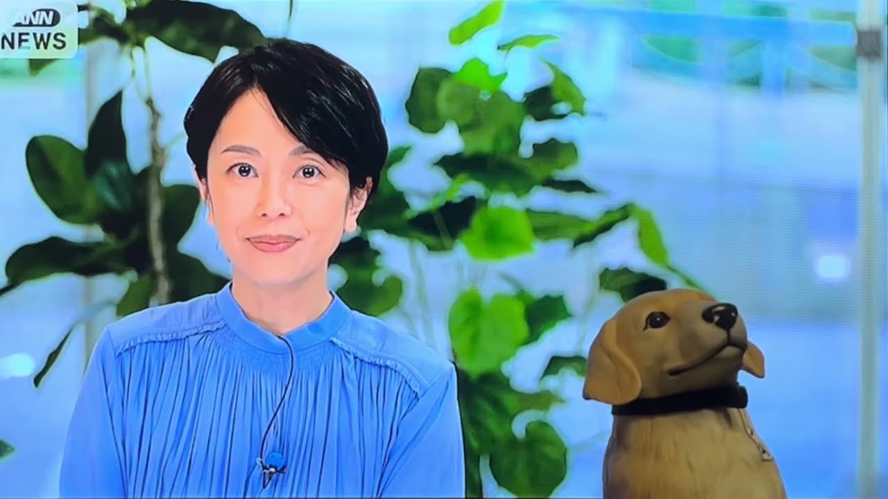 🐶😄🎶【段さんぽ：えっ、3.000本⁉︎】2026.2.21