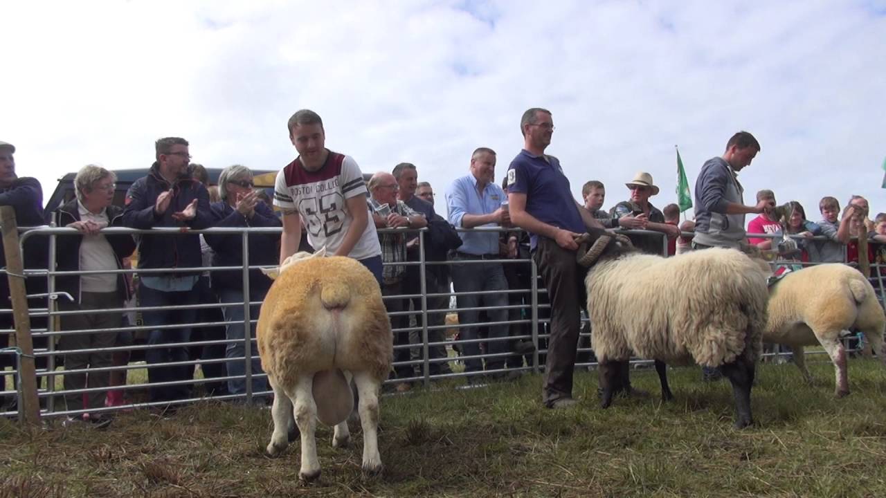 North Sligo Agricultural Show (Grange) 2016