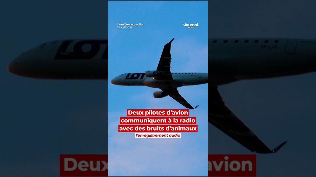 Deux pilotes d'avion communiquent &agrave; la radio avec des bruits d'animaux. L'enregistrement audio...