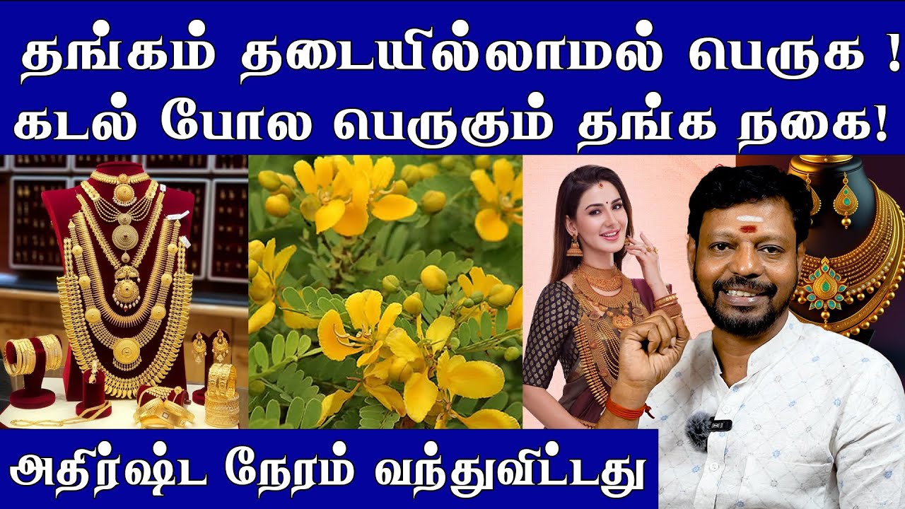 தங்கம் தடையில்லாமல் பெருக ! கடல் போல பெருகும் தங்க நகை Mayan senthilkumar