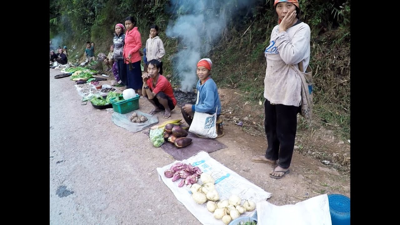 หมู่บ้านอาข่าลาวนำของป่ามาขายริมถนนก่อนถึงเมืองสิง Lao Akha Village in Luoang Namtha