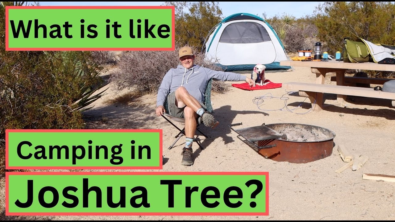 Camping at Cottonwood campground in Joshua Tree